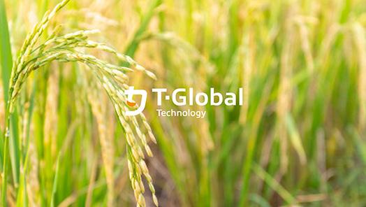 Adopt Yilan Xingjian Organic Rice